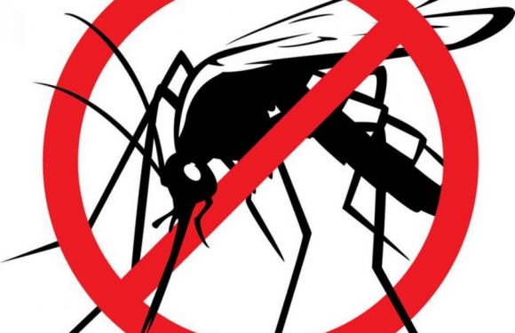 Obavijest o dezinsekciji komaraca – novo